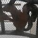 firewall Squirrel decorations