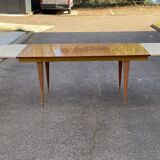 Table à manger scandinave extensible bois et palissandre laquée 250cm