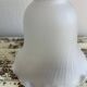 Old glass tulip globes
