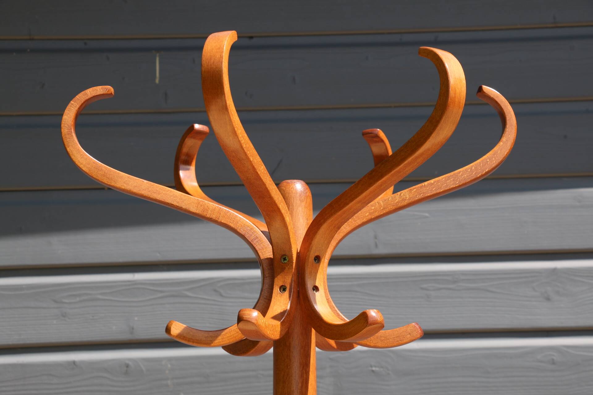 Medium beech parrot coat rack BAUMANN (A1)