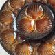 large earthenware dish for oysters or scallops