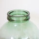 Dame jeanne Viresa 20L verre vert