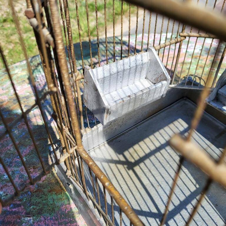 1900 Bird Cage Feeder and Drinker
