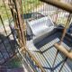 1900 Bird Cage Feeder and Drinker