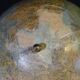 Globe Forest early XXth diameter 37 cm