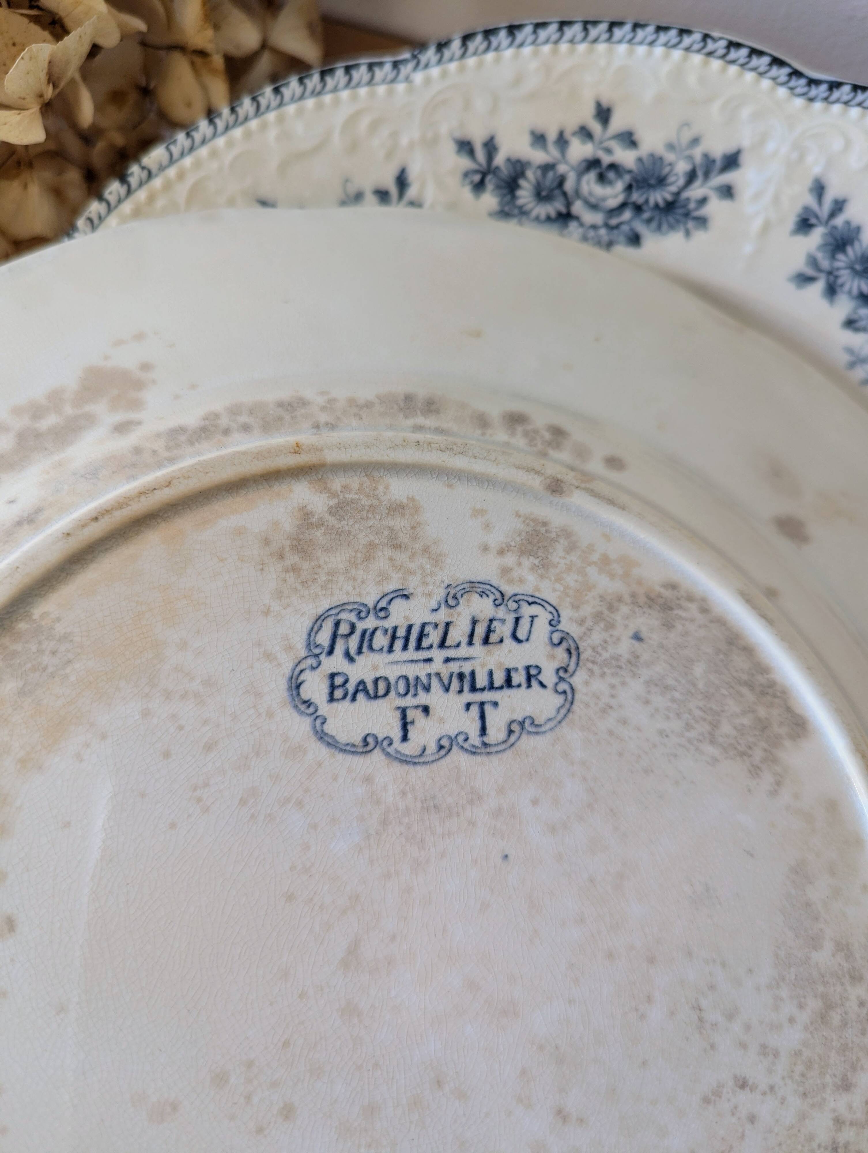 Lot of 10 old Badonviller Richelieu ironstone plates