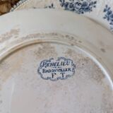 Lot of 10 old Badonviller Richelieu ironstone plates