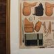 Framed lithograph "horse riding saddlery Alp Camille", late 20th century