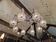 Large ceiling light/chandelier in chrome metal and blown bubble glass, 1970s.