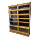 Large Glob Wernicke Bookcase