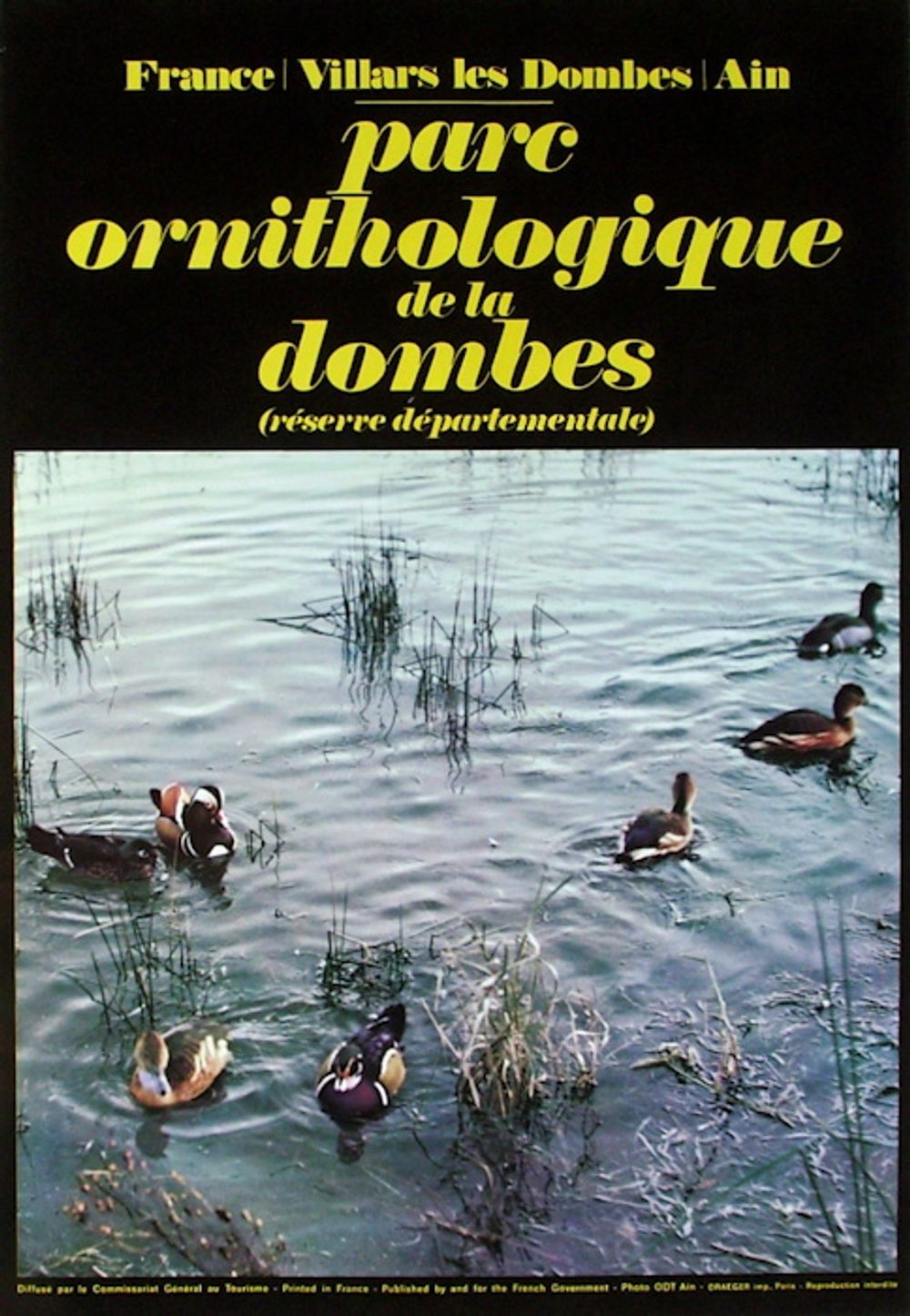 Dombes ornithological park 1960