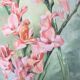 Tableau HST "Bouquet de Glaïeuls roses du jardin" Fleurs