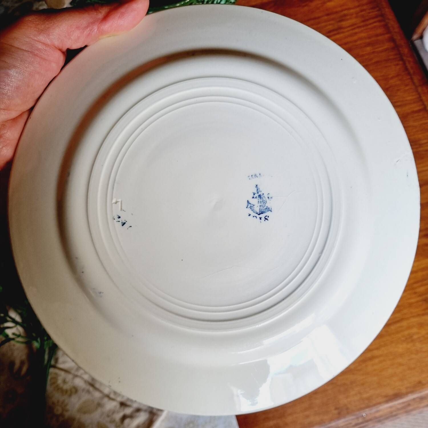 Lot de 6 assiettes plates terre de fer dépareillées
