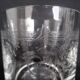 Set of 6 whisky glasses engraved with floral motifs