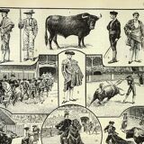 Antique engraving - 1897 P. De Laubadère - Bull - Vintage
