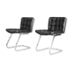 Set of 2 chairs by Robert Haussmann for Sede 60s