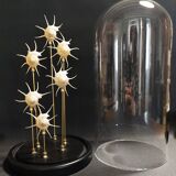 Cabinet of Curiosities globe with pearly Guildfordia Yoka shells