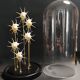 Cabinet de Curiosités globe aux coquillages guildfordia yoka nacrés