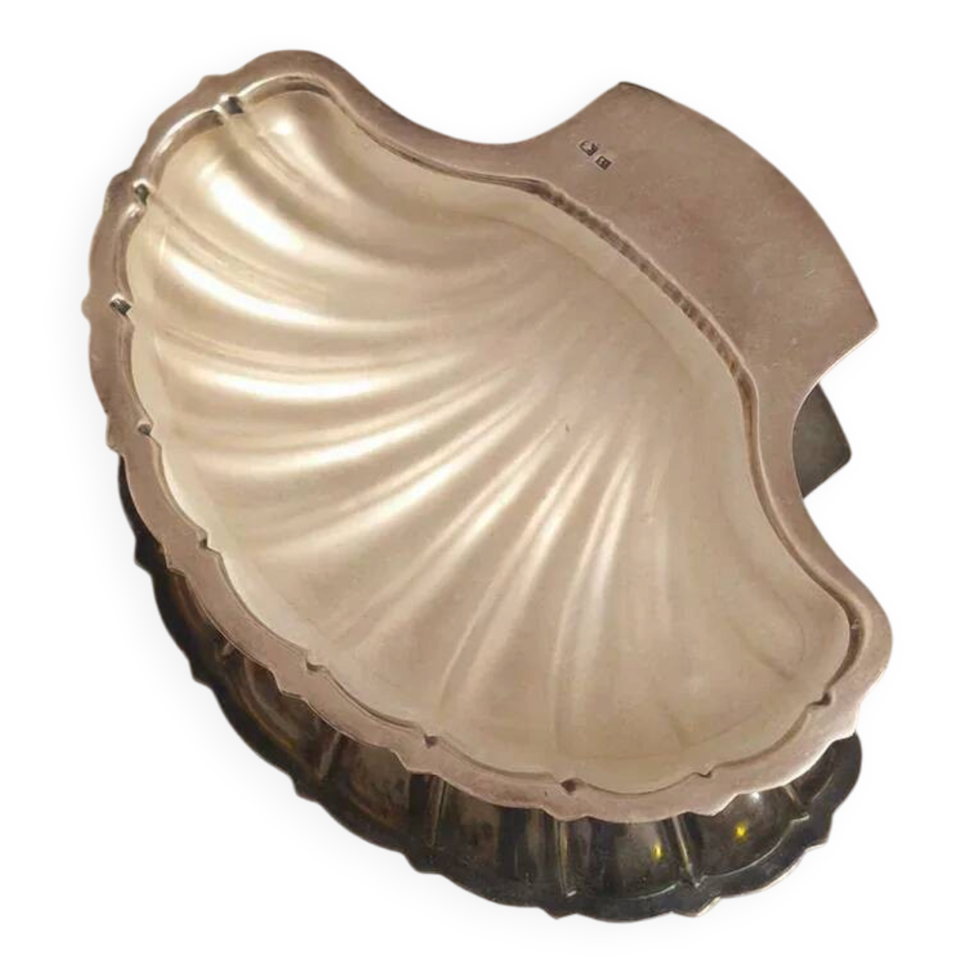 Beurrier coquillage