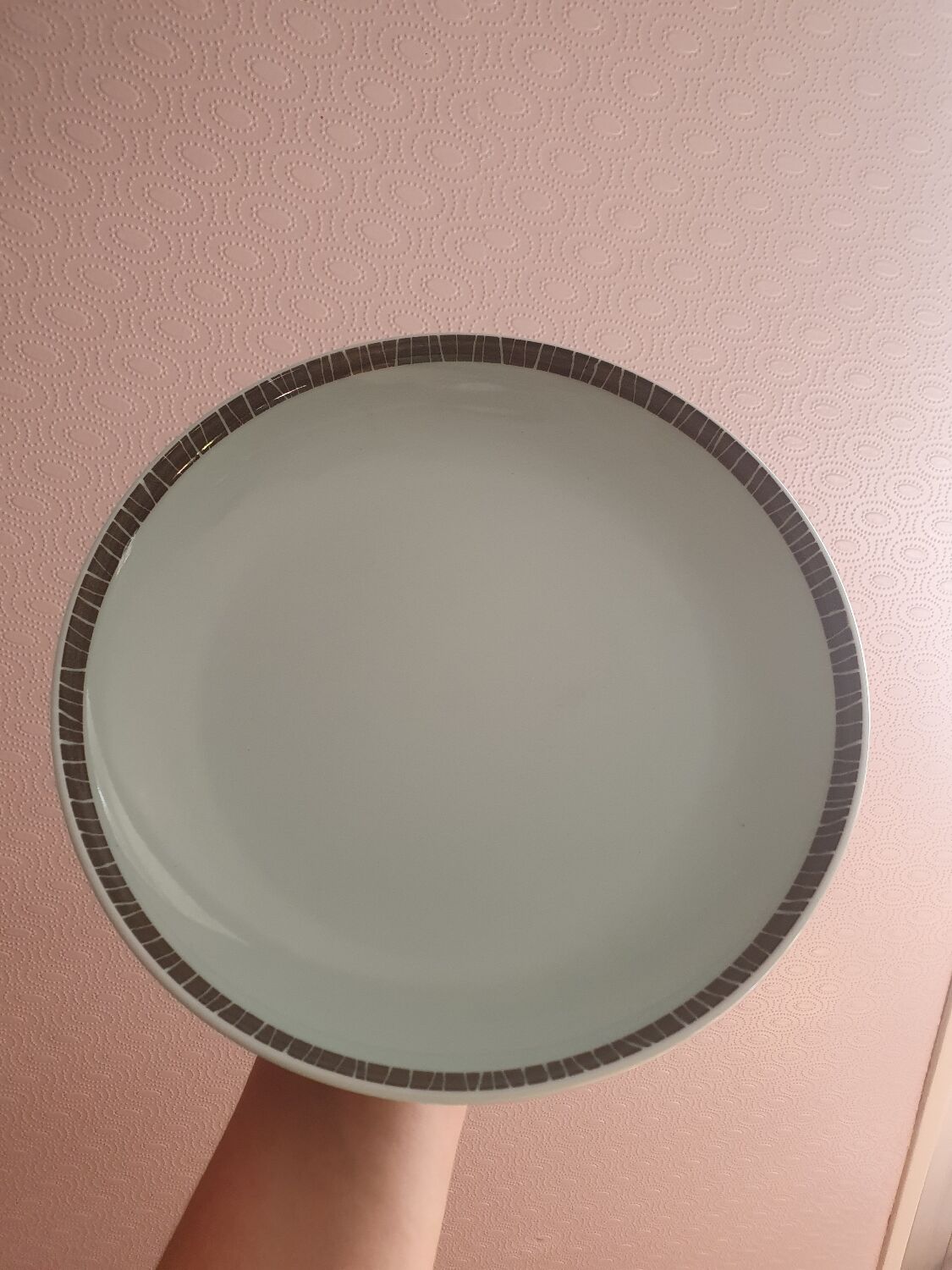 Plate model sora design by chris keenan for habitat