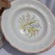6 deep plates – Capôa earthenware – vintage Portuguese