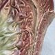 Large vintage salad bowl in the shape of a pink cabbage – barbotine earthenware – 1980s