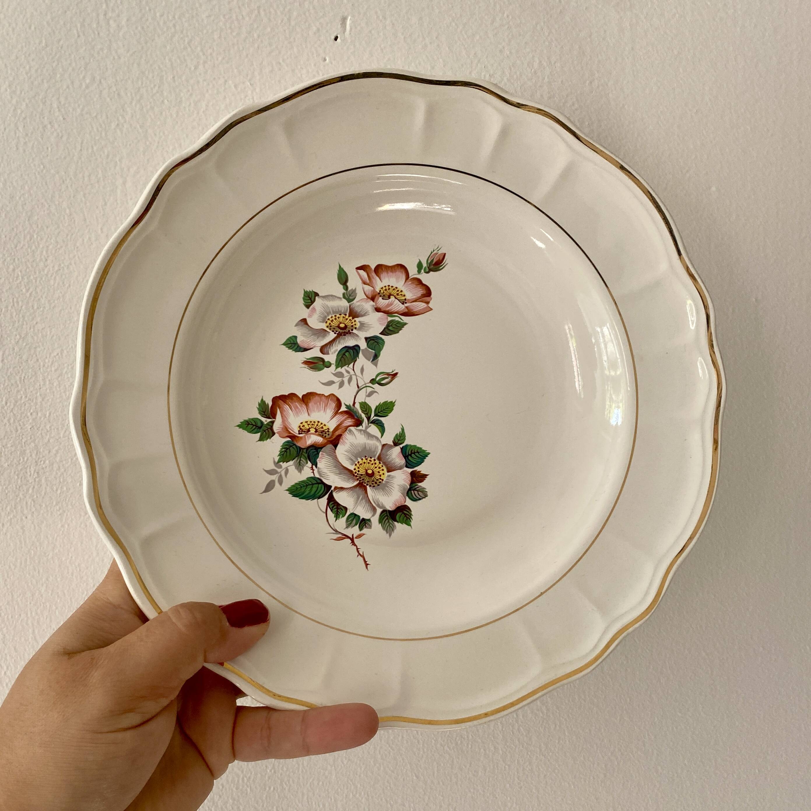 Set of 6 vintage Salins soup plates