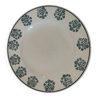 Sarregumeines and Digoin plate, René model