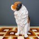 Life sized vintage glazed terracotta St Bernard dog sculpture, 1960s