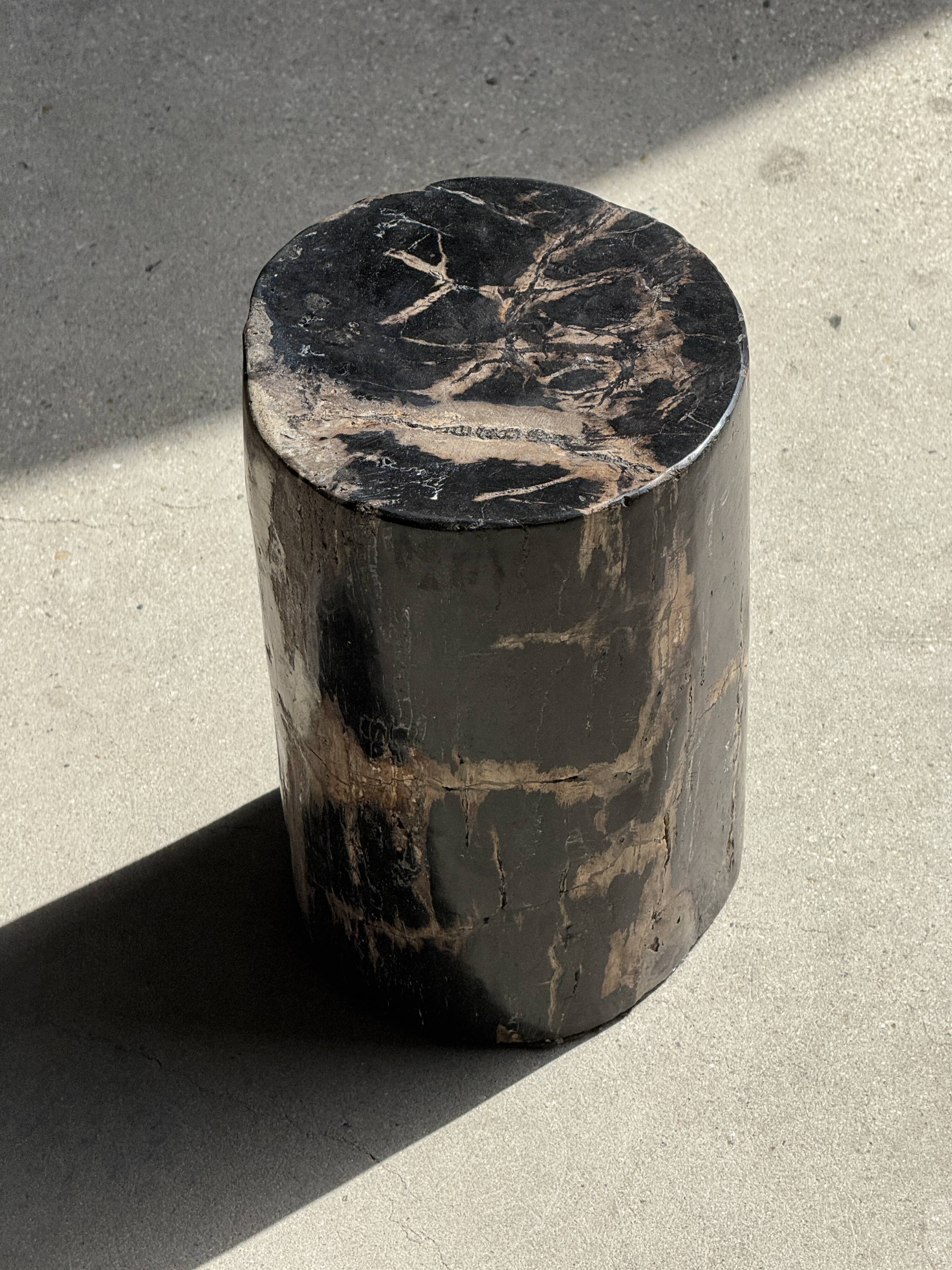 Table d'appoint en bois pétrifié noir