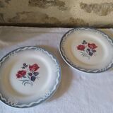 Flat earthenware plates by Digoin Sarreguemines