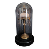 Cabinet of Curiosities globe with sea urchin paracentrotus lividus