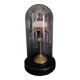 Cabinet de Curiosités globe avec oursin paracentrotus lividus