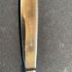 12 "Apollonox" fruit knives on silver metal support