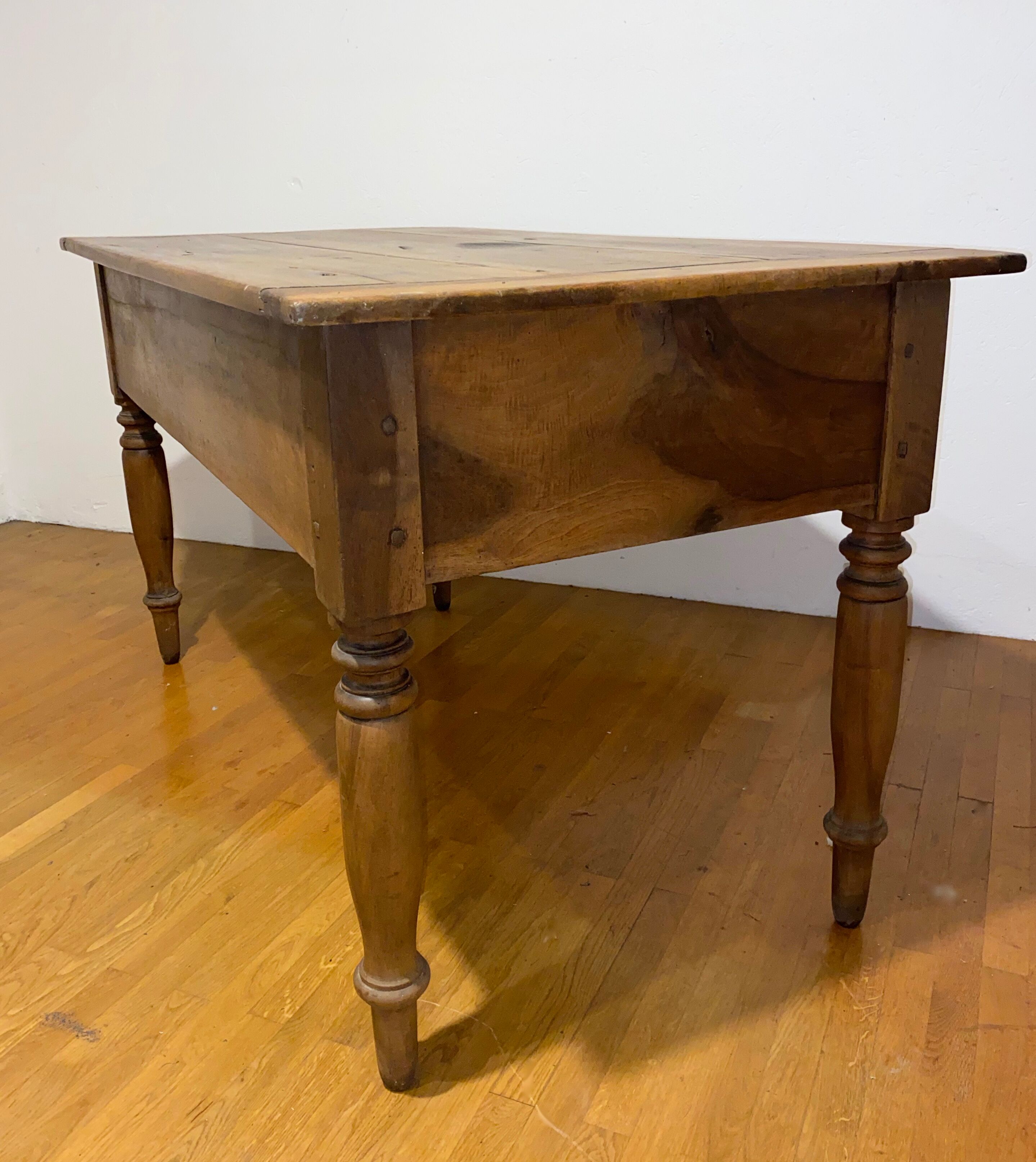 Dolphin table petri dish