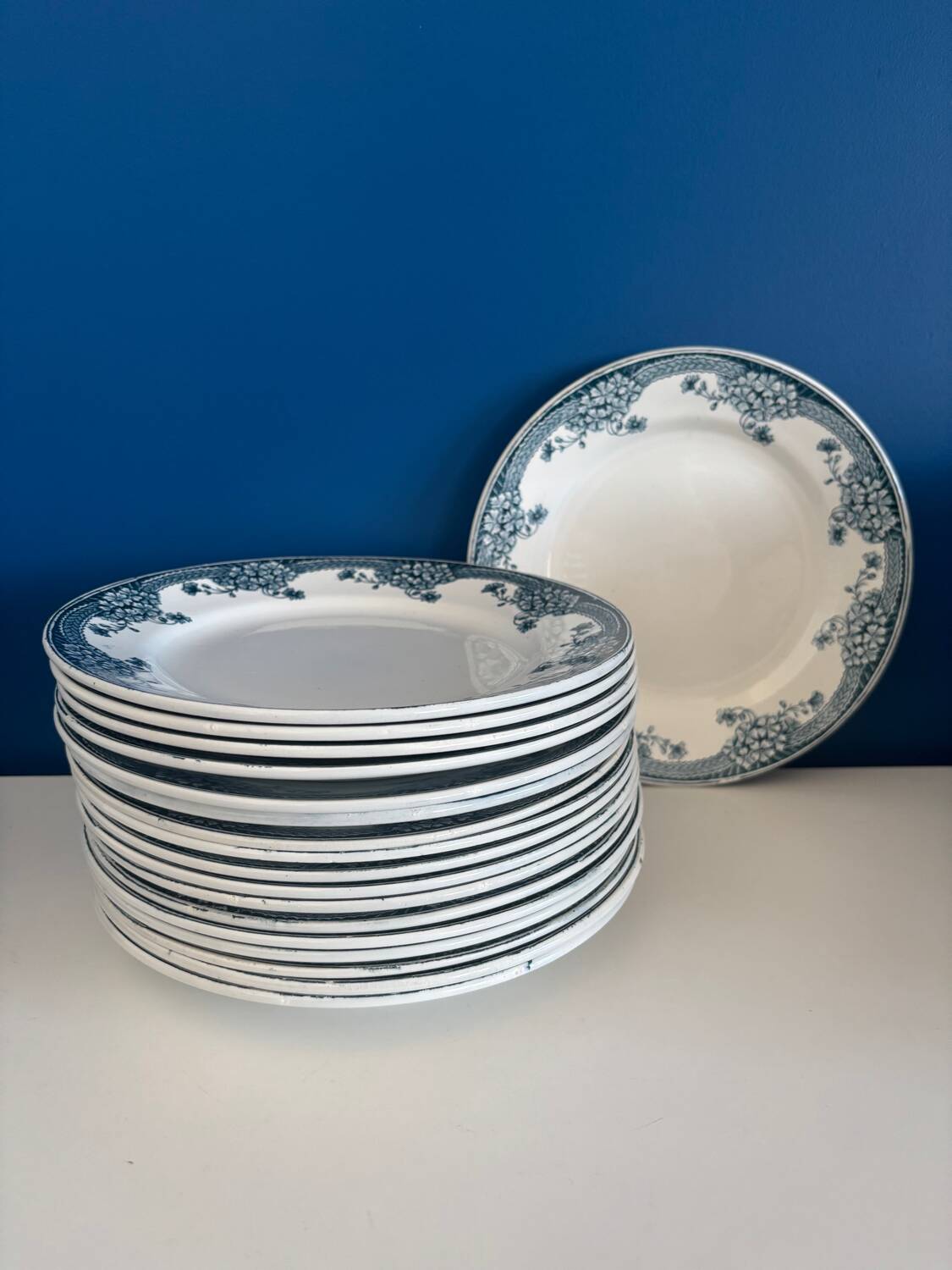 Set of 6 Saint-Amand Ironstone Plates Model Suzanne | Vaisse
