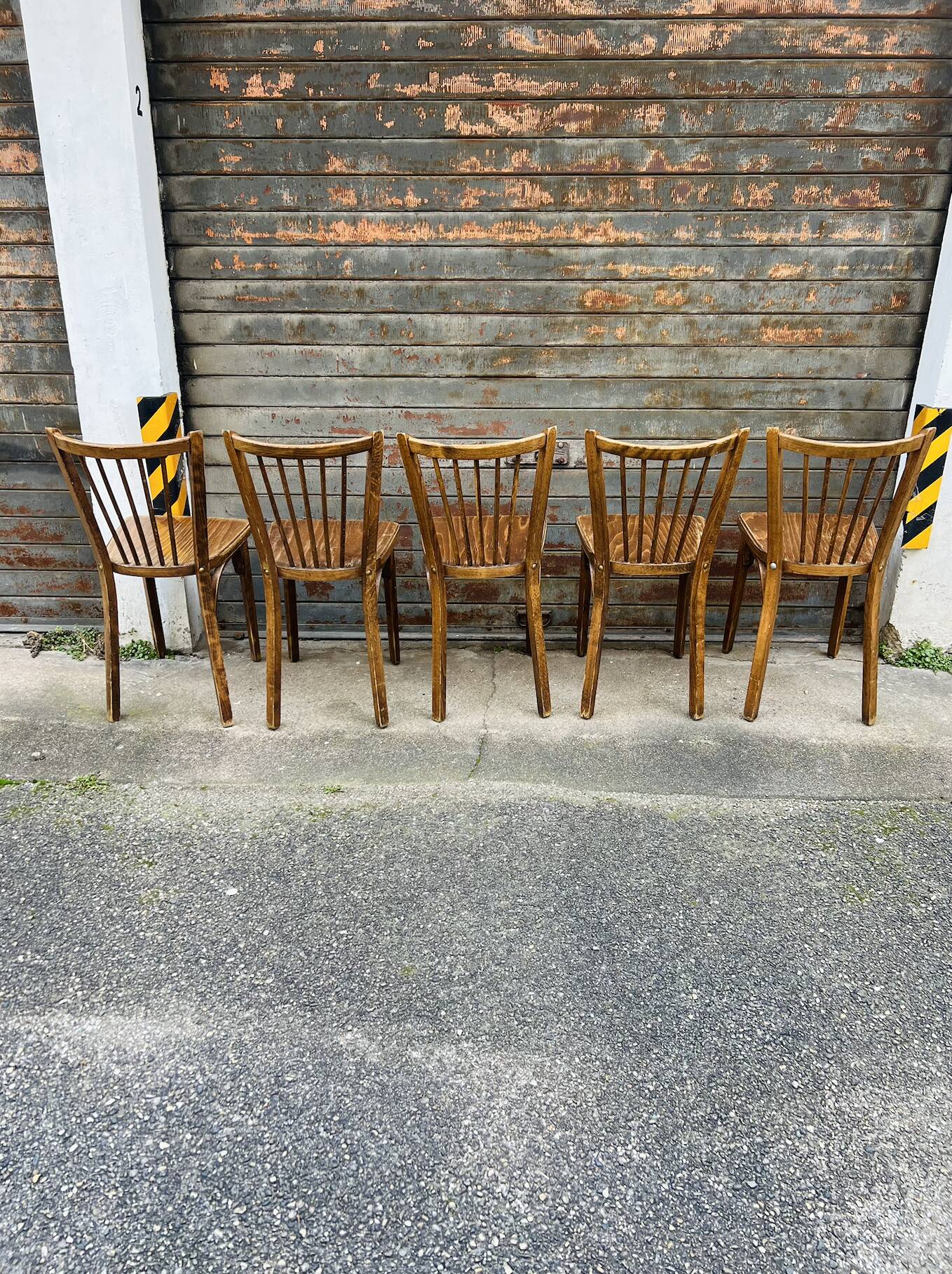 (Lot) 5 Baumann chairs model 83