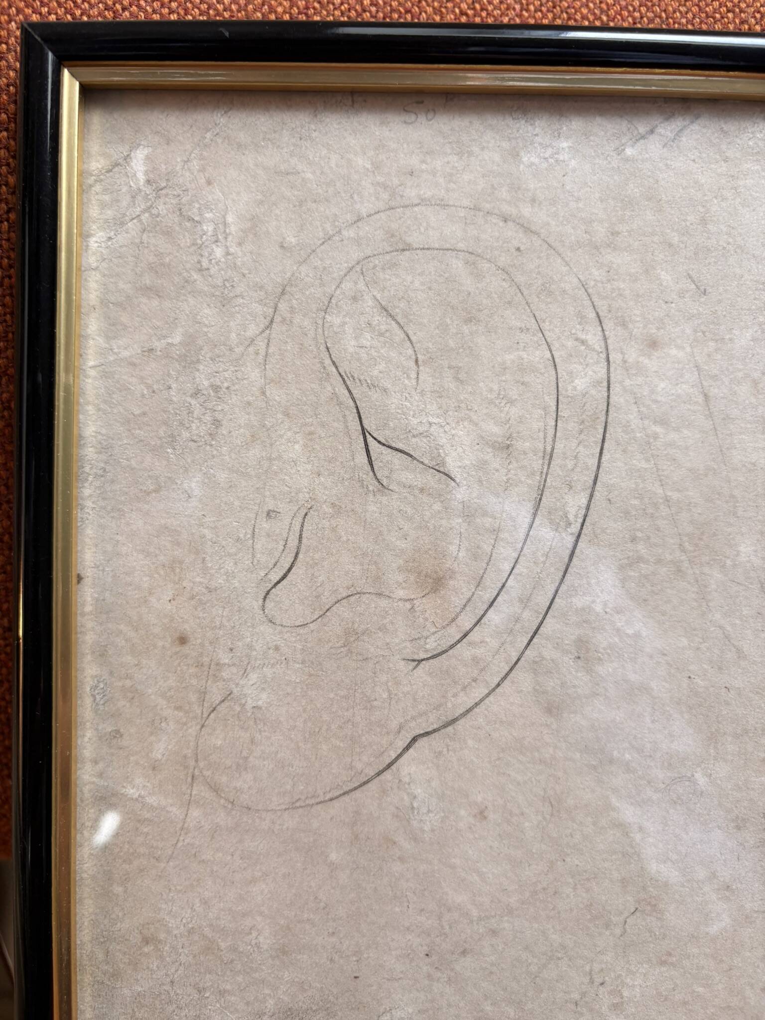 Print Engraving Study Sketch Ear by Lemire Polytechnical School Perrot
