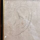 Print Engraving Study Sketch Ear by Lemire Polytechnical School Perrot