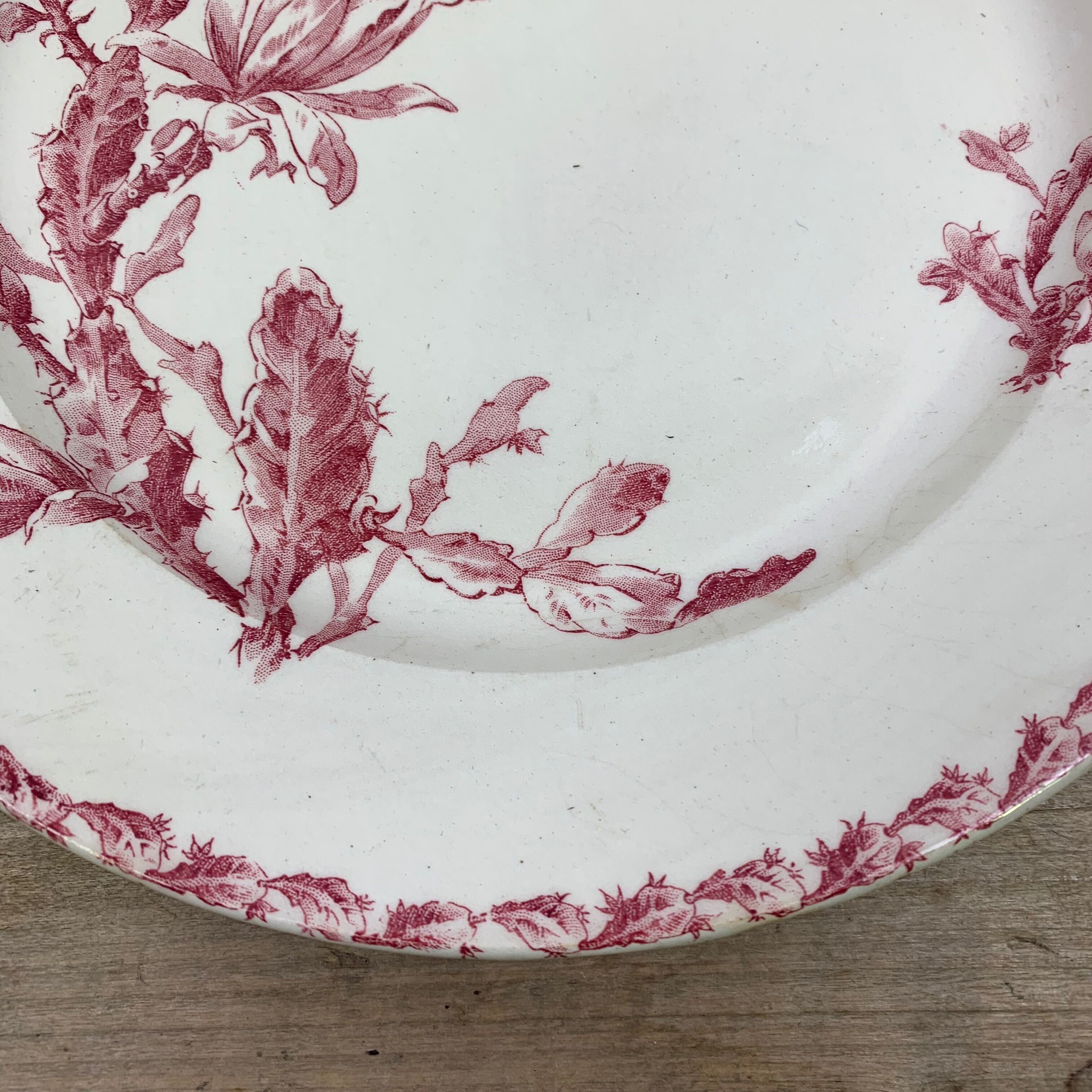 Dish porcelain Gien model Cactus