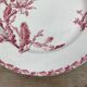 Dish porcelain Gien model Cactus