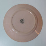 Old plate plate pink sepia Moulin des Loups