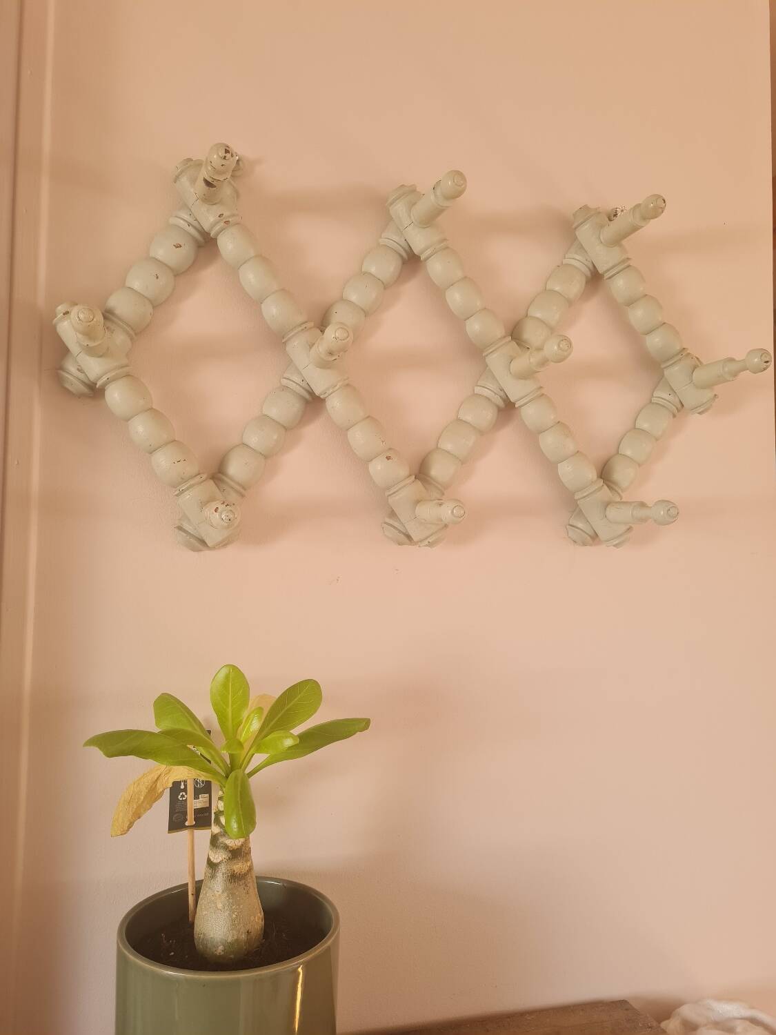 Coat and hat rack