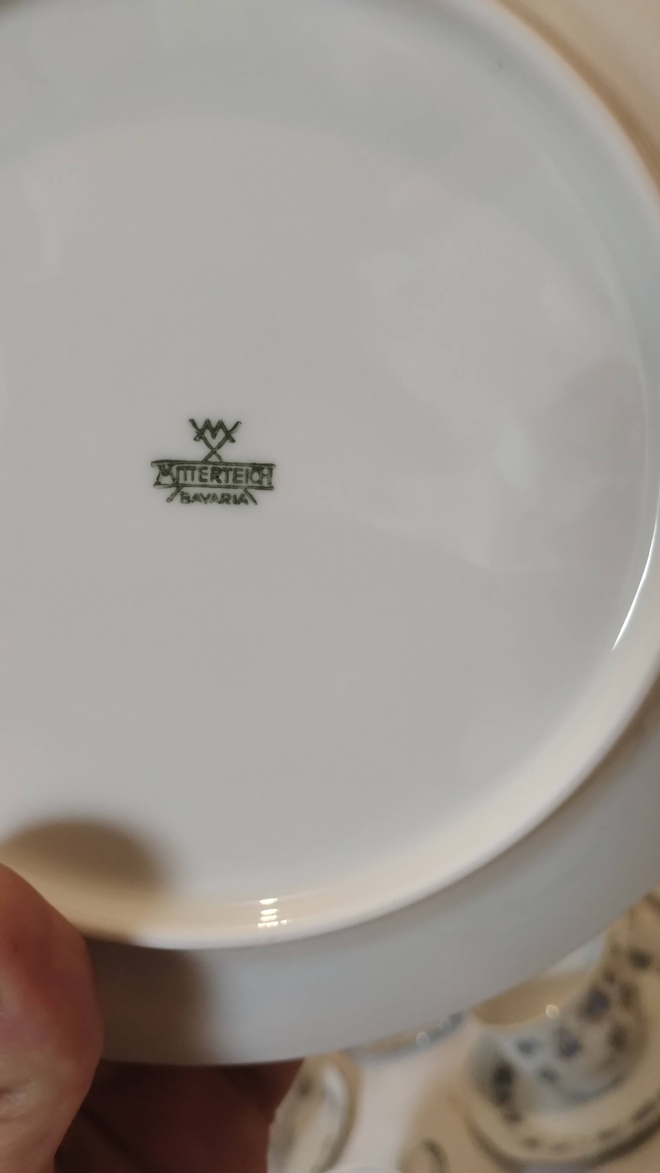 Mitterteich Bavaria Porcelain Coffee/Tea Set