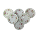 6 flat plates porcelain Limoges shabby flowers