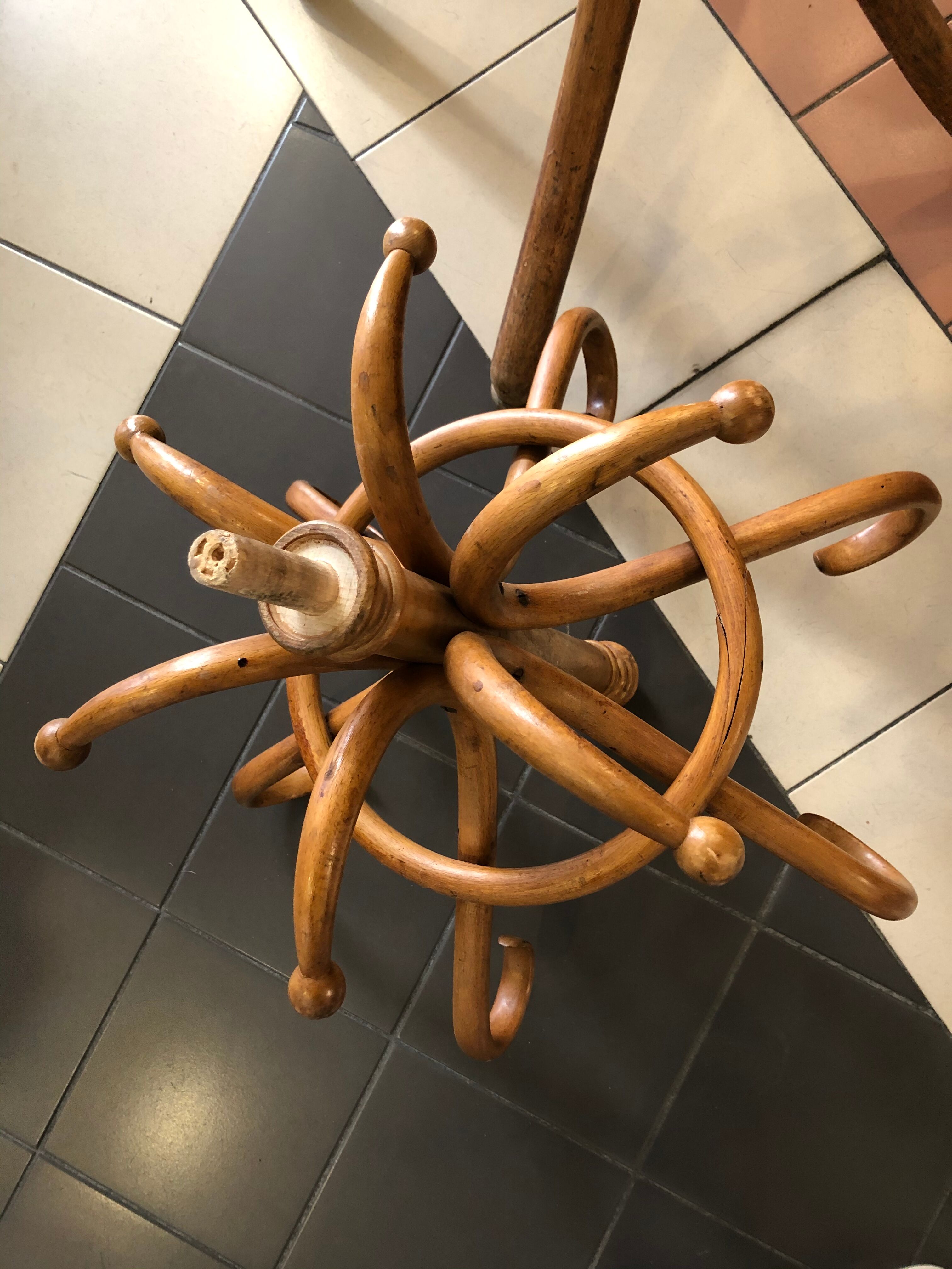 Old parrot coat holder Thonet vintage