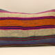 Throw Pillow, Cushion Cover 30x50 cm