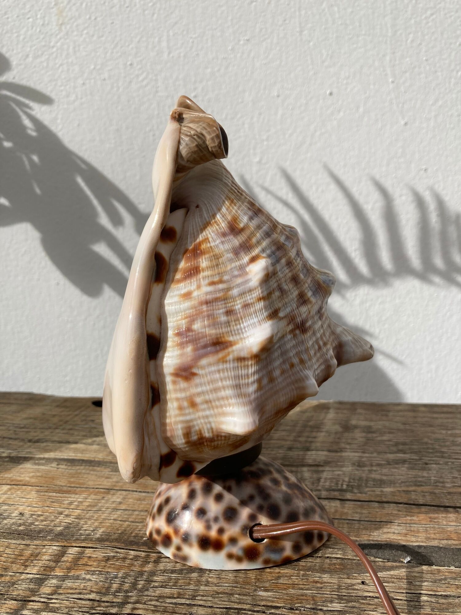 Shell lamp 1970 vintage mother-of-pearl to pose or bedside