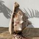 Shell lamp 1970 vintage mother-of-pearl to pose or bedside
