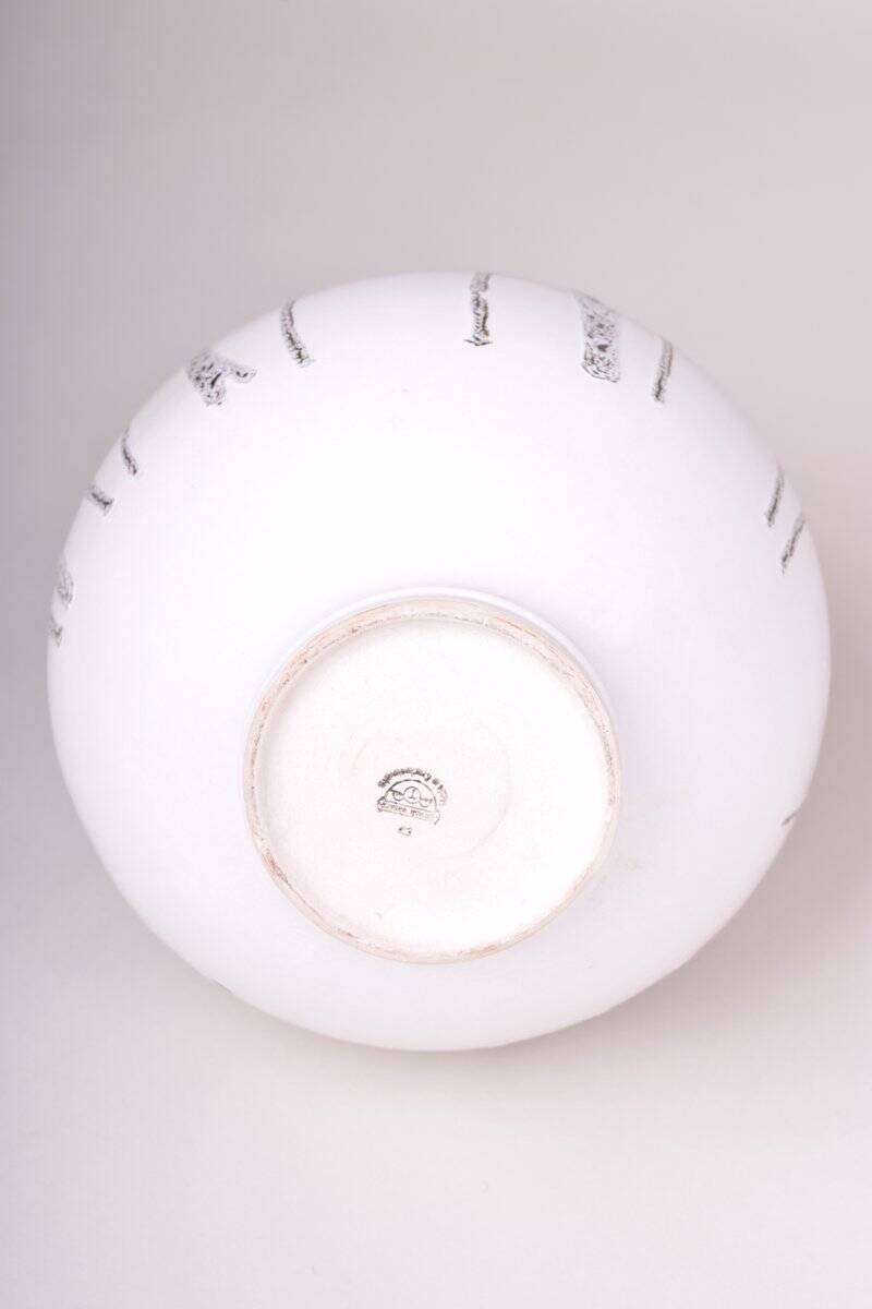 Mid-Century Vasein Ceramic by Ditmar-Urbach, Czech, 1960s